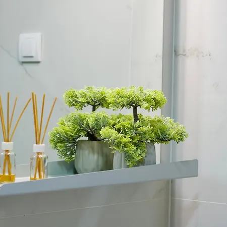 Forest Zlatni Bor * Zlatibor