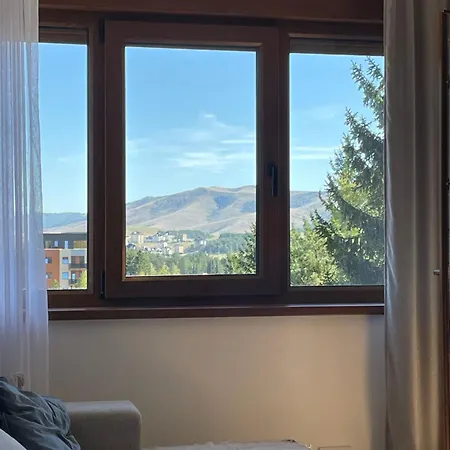 Forest Zlatni Bor Zlatibor