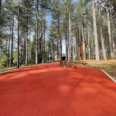 Appartement Forest Zlatni Bor