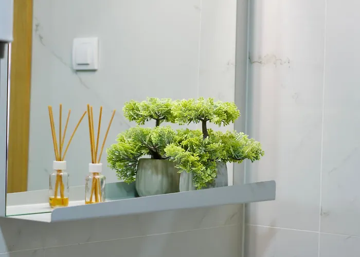 Forest Zlatni Bor * ズラティボール