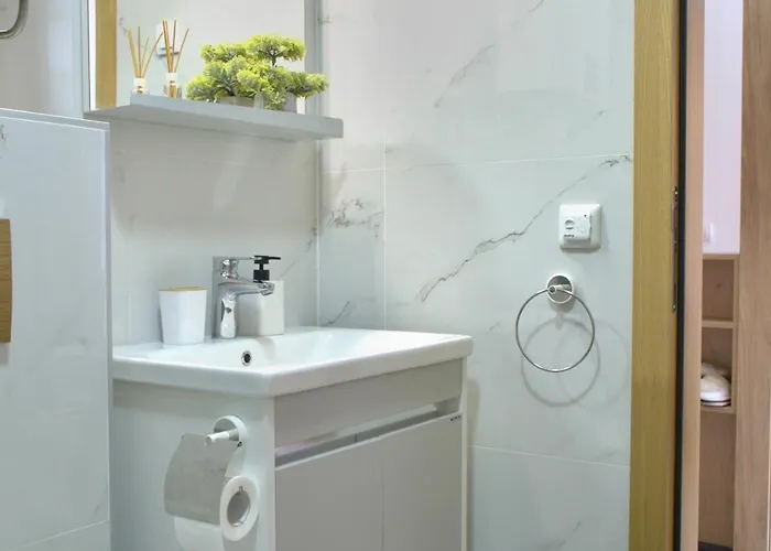 Forest Zlatni Bor * ズラティボール