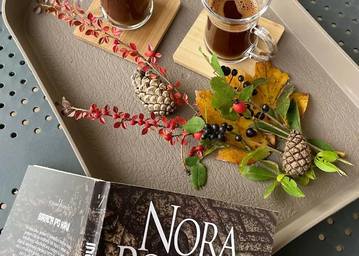 Forest Zlatni Bor アパート