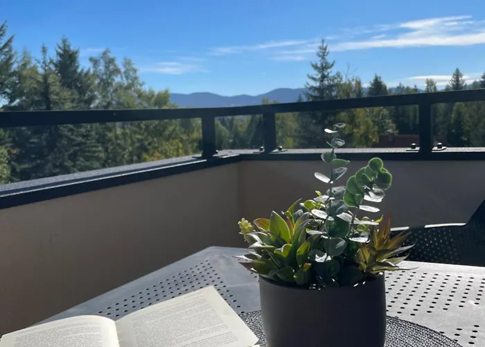 Forest Zlatni Bor * ズラティボール