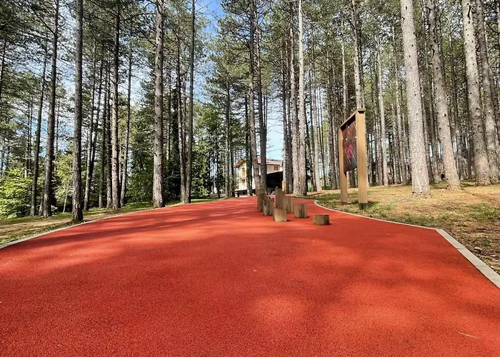 アパート Forest Zlatni Bor